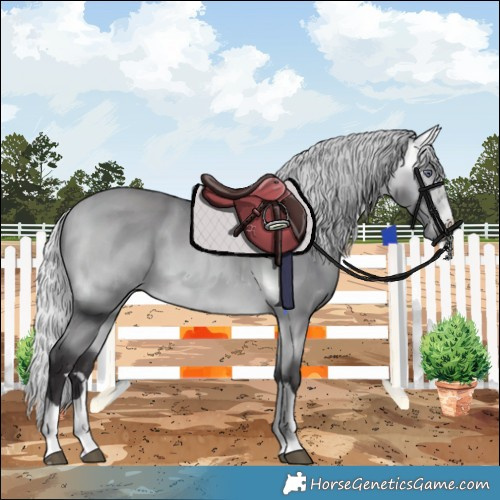 Horse Color:Silver Buckskin Chinchilla