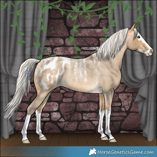 Horse Color:Powder White Silver Buckskin Roan Dun Splash Appaloosa Rabicano 