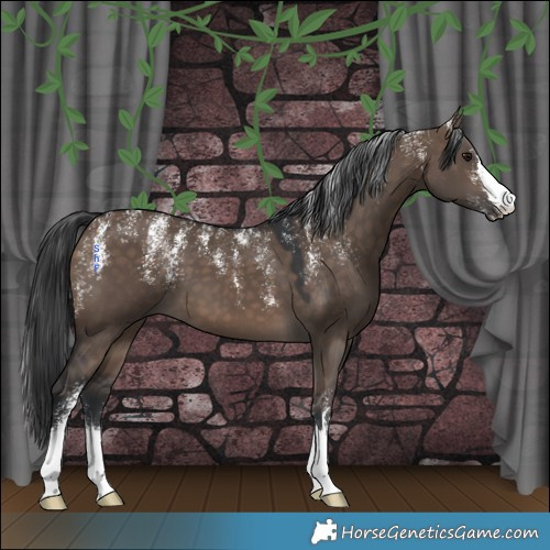 Horse Color:Powder White Brown Dun 