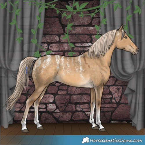 Horse Color:Powder White Chocolate Palomino Dun 