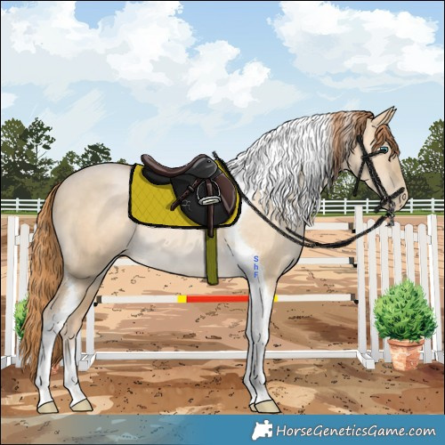 Horse Color:Buckskin Pearl Dun Tobiano
