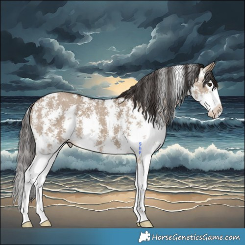 Horse Color:Liver Red Dun Sabino Splash