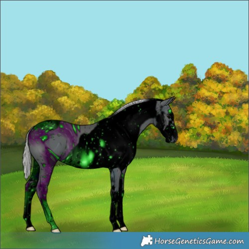 Horse Color:Unknown 