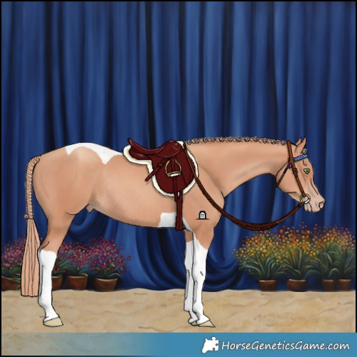 Horse Color:Gold Champagne Tobiano Rabicano 