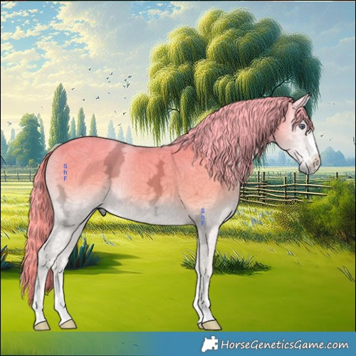 Horse Color:Liver Red Onyx Chinchilla Ice Mushroom 
