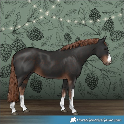 Horse Color:White Spotted Liver Chestnut 