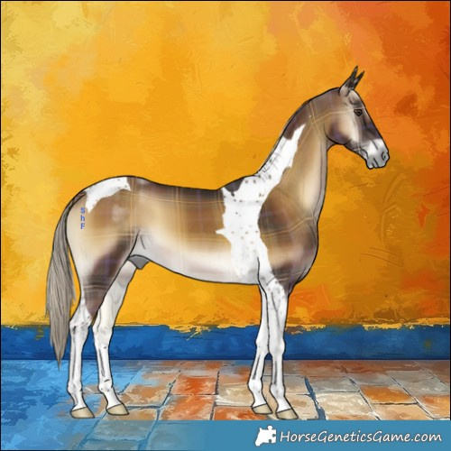 Horse Color:Plaid Chocolate Palomino Onyx Tobiano