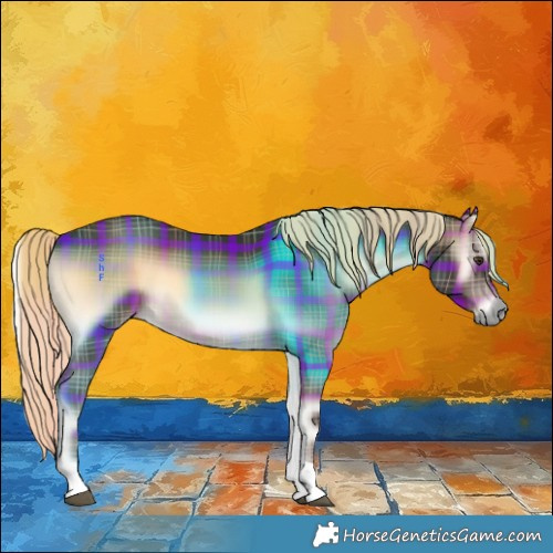 Horse Color:Plaid  Liver Red Onyx Tobiano 