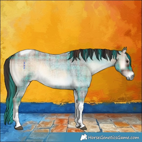 Horse Color:Plaid  Liver Red Onyx Roan Tobiano 