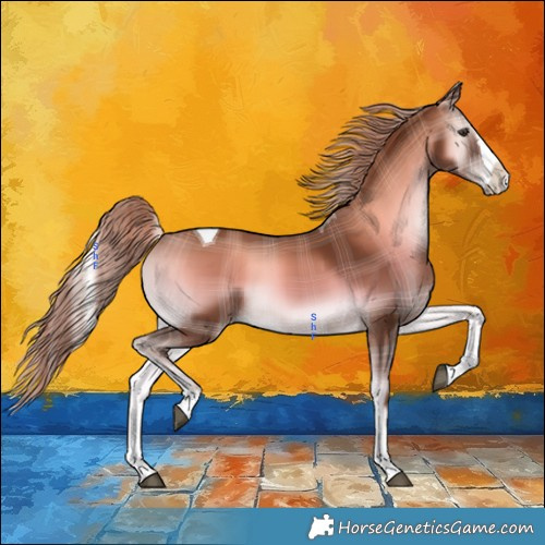 Horse Color:Plaid  Red Onyx Splash Tobiano 