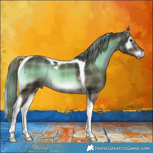 Horse Color:Plaid Liver Red Onyx Tobiano