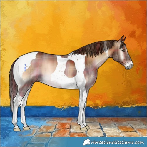 Horse Color:Plaid  Red Onyx Tobiano 