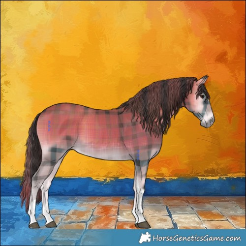 Horse Color:Plaid  Smoky Blue Onyx Tobiano 