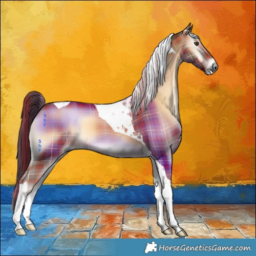 Horse Color:Plaid  Red Onyx Tobiano 