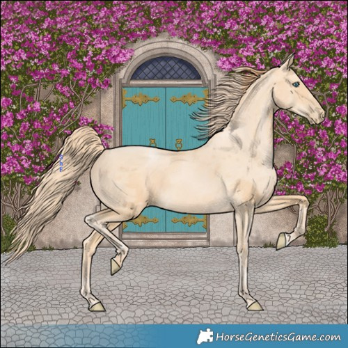 Horse Color:Buckskin Pearl Merle Rabicano 