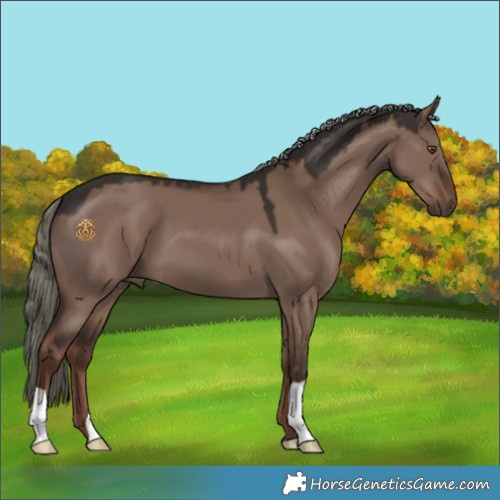Horse Color:Liver Red Dun Mushroom 