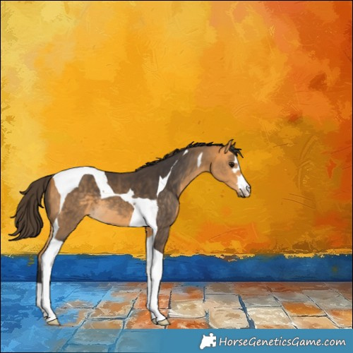 Horse Color:Buckskin Tobiano 