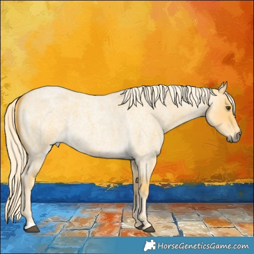 Horse Color:Palomino Roan Dun 