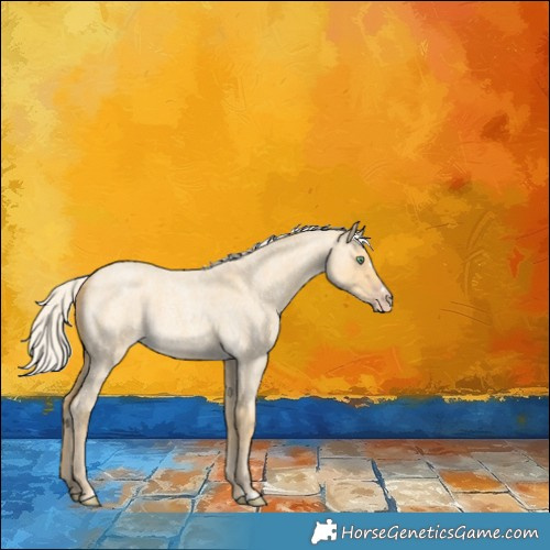 Horse Color:Silver Amber Cream Champagne Roan Dun 
