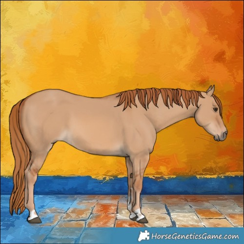 Horse Color:Red Dun 