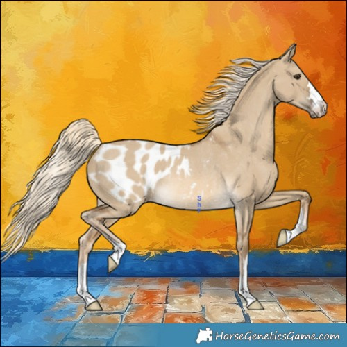 Horse Color:Chocolate Palomino Dun Appaloosa Rabicano