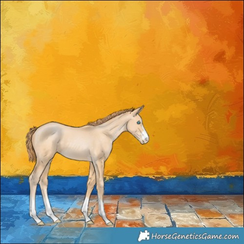 Horse Color:Buckskin Pearl 