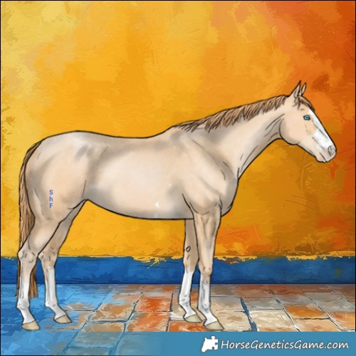 Horse Color:Buckskin Pearl 