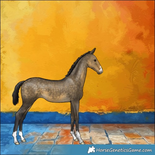 Horse Color:Buckskin Dun 