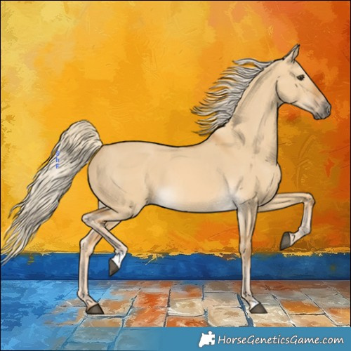 Horse Color:Palomino Dun 