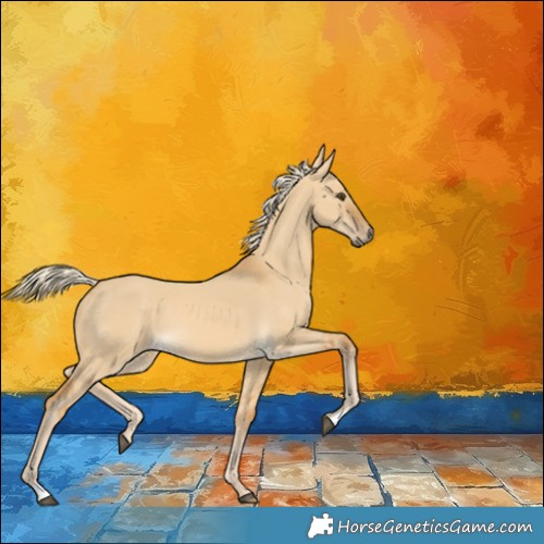 Horse Color:Palomino Dun 