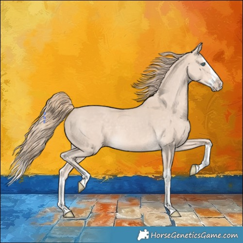 Horse Color:Perlino Splash 