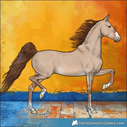 Horse Color:Red Dun