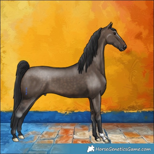 Horse Color:Brown Dun 