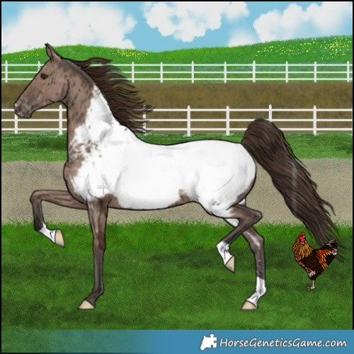 Horse Color:Liver Red Dun Ice Near Fewspot Brindle