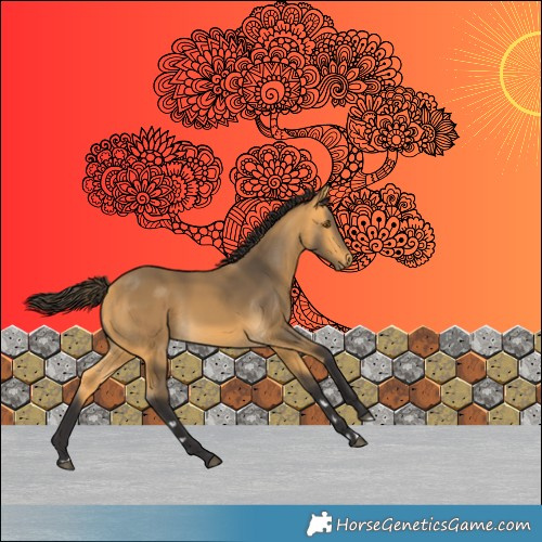 Horse Color:Buckskin 