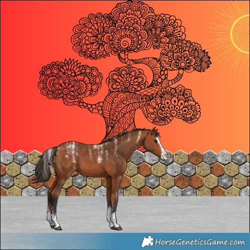 Horse Color:Powder White Bay Splash 