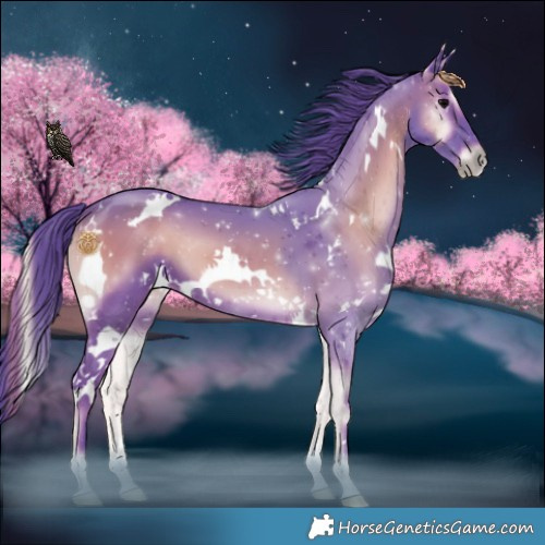 Horse Color:Watercolor White Spotted Chocolate Blue Onyx 