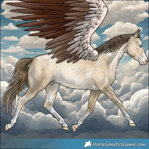 Horse Color:White Spotted Buckskin Pearl Dun Splash 
