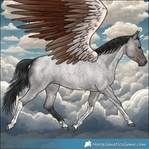 Horse Color:Grullo Roan Tobiano 