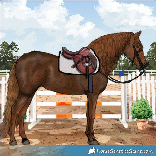 Horse Color:Gray Void Red Roan 