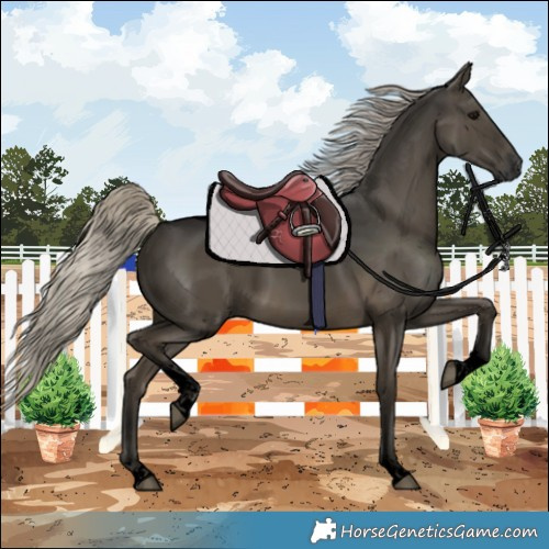 Horse Color:Gray Void Silver Smoky Black Tobiano 