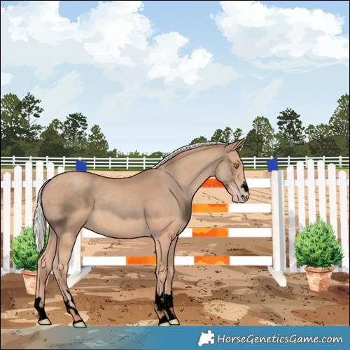 Horse Color:Void Silver Classic Champagne 