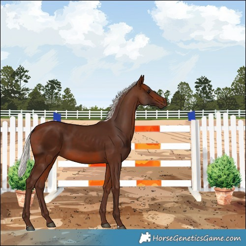Horse Color:Silver Brown 