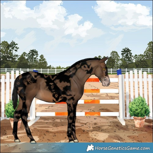 Horse Color:Gray Void Amber Champagne Tobiano 