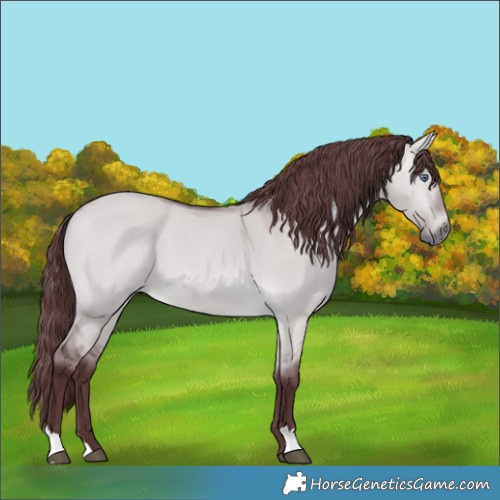 Horse Color:Chocolate Bay Chinchilla Dun 