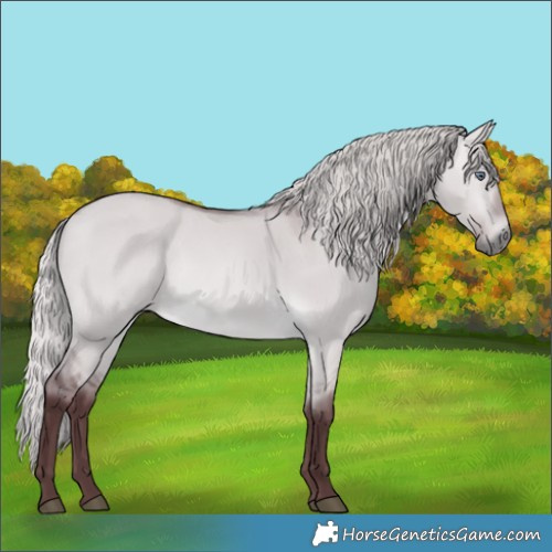 Horse Color:Chocolate Silver Bay Chinchilla Dun 
