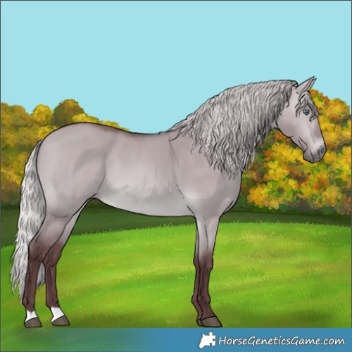 Horse Color:Chocolate Silver Brown Chinchilla Dun
