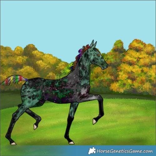 Horse Color:Unknown 