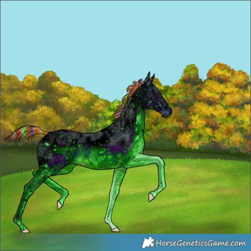 Horse Color:Unknown 