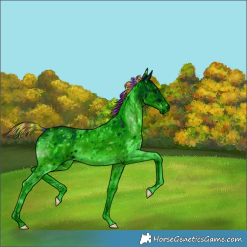 Horse Color:Unknown 